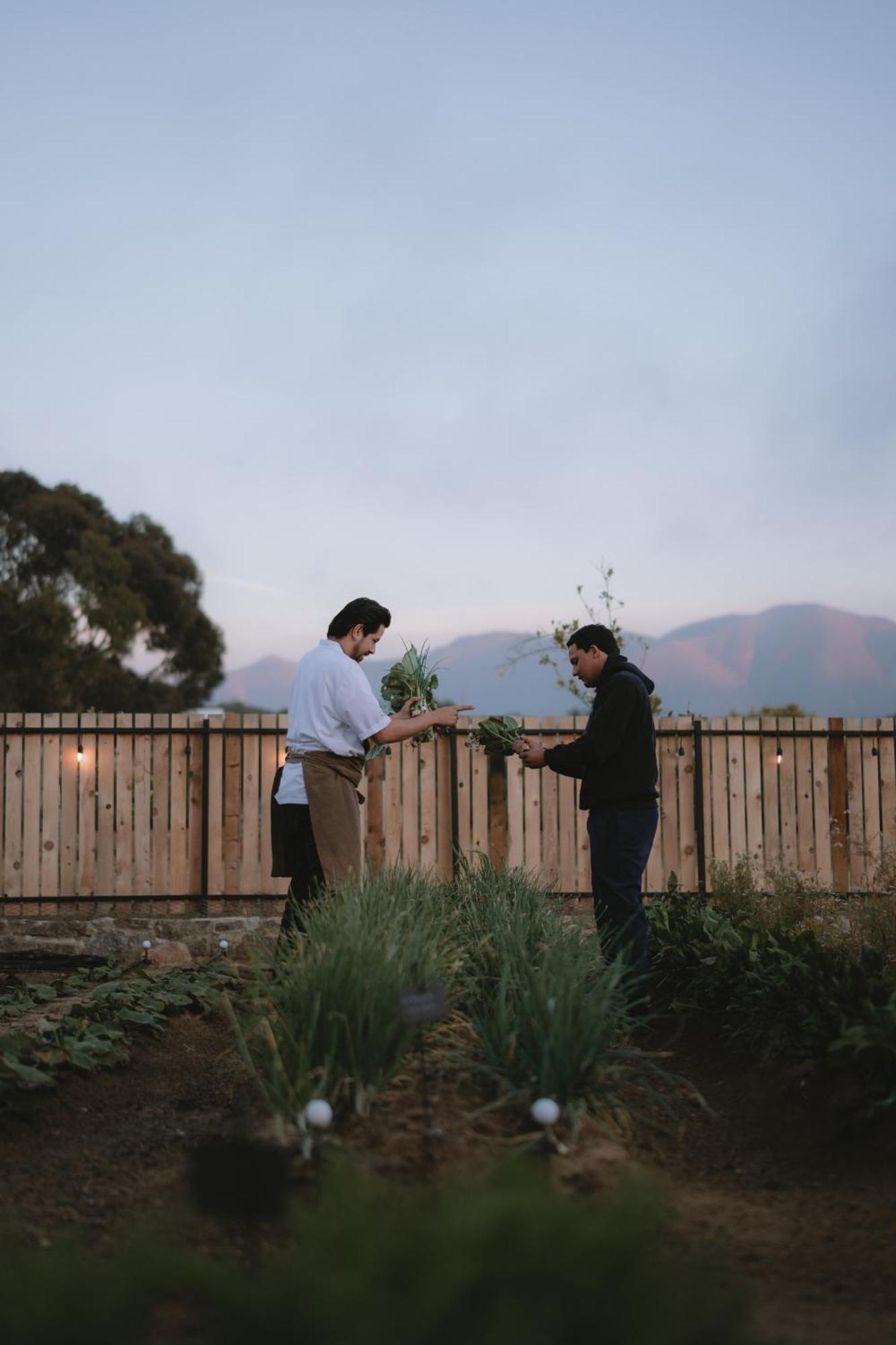Mya Hotel Valle de Guadalupe Kültér fotó