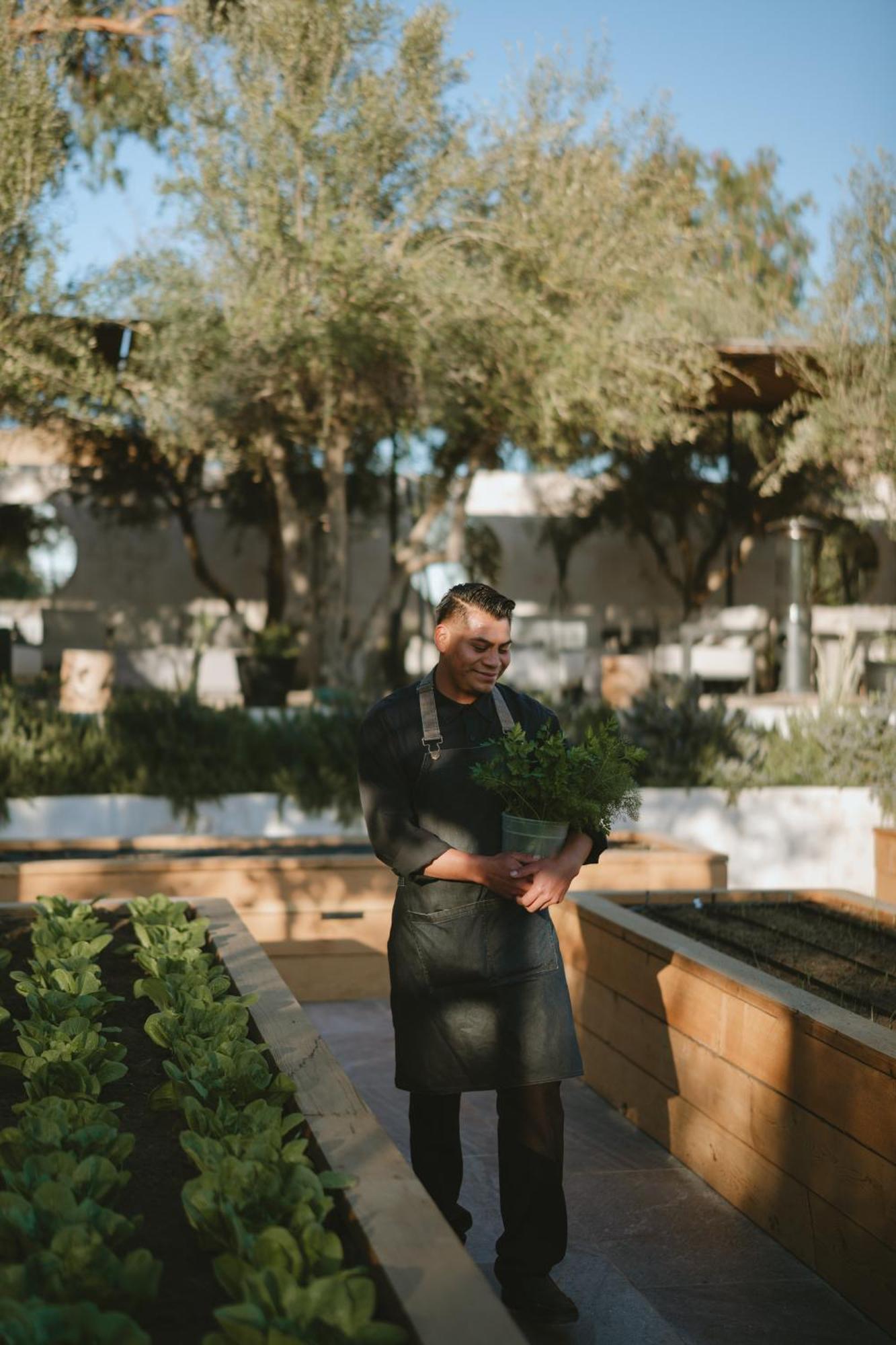 Mya Hotel Valle de Guadalupe Kültér fotó