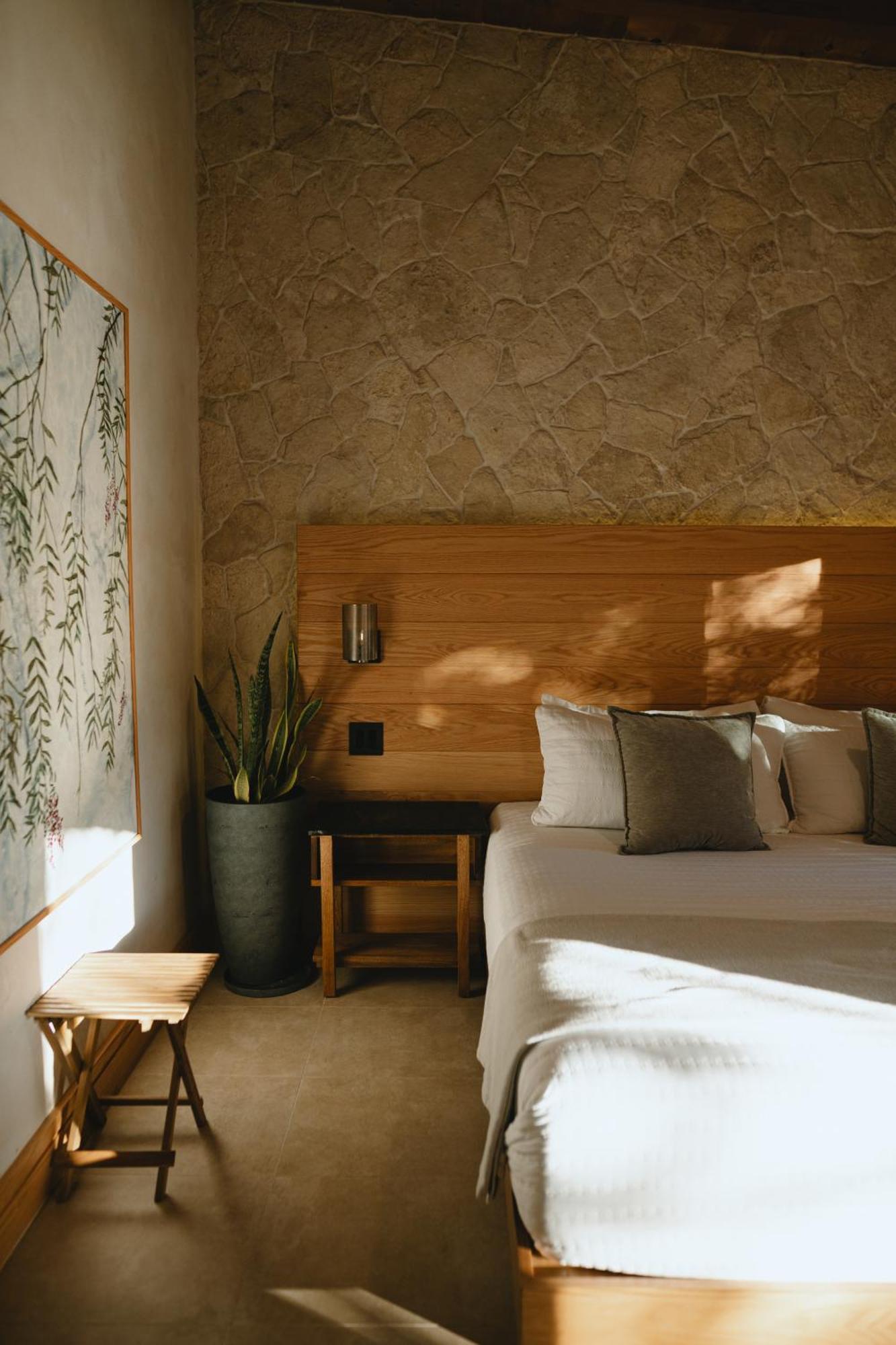 Mya Hotel Valle de Guadalupe Kültér fotó