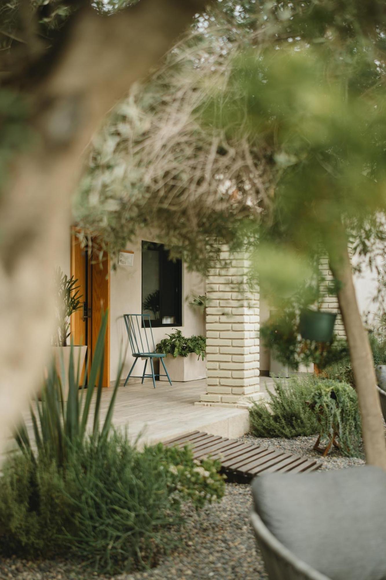 Mya Hotel Valle de Guadalupe Kültér fotó