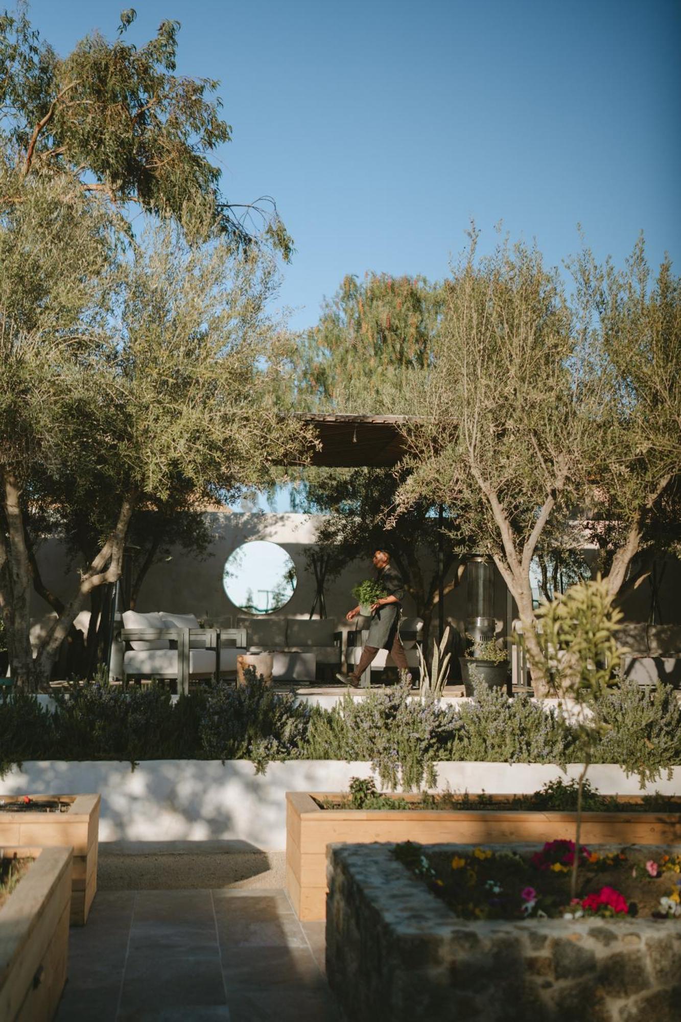 Mya Hotel Valle de Guadalupe Kültér fotó