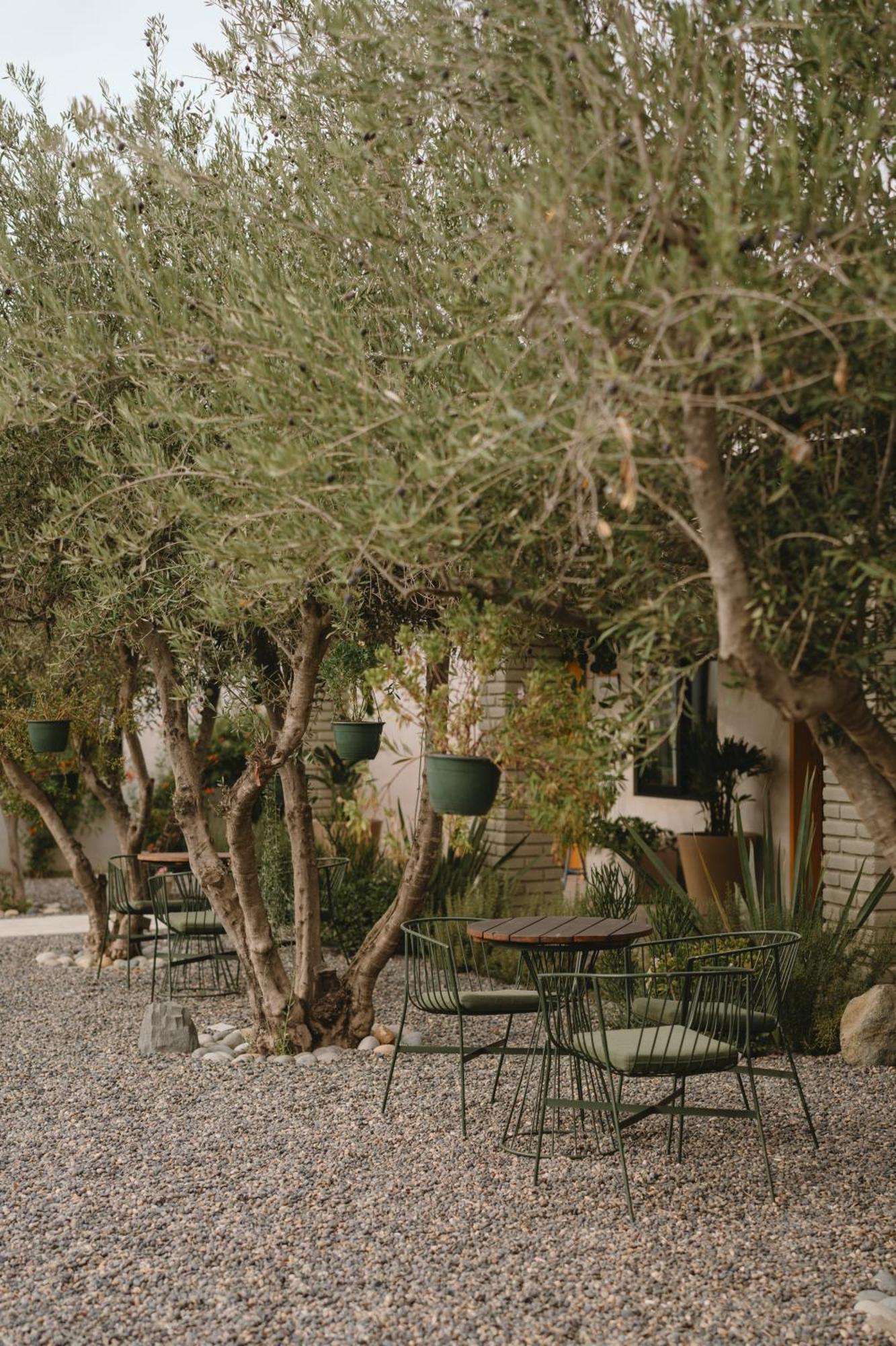 Mya Hotel Valle de Guadalupe Kültér fotó