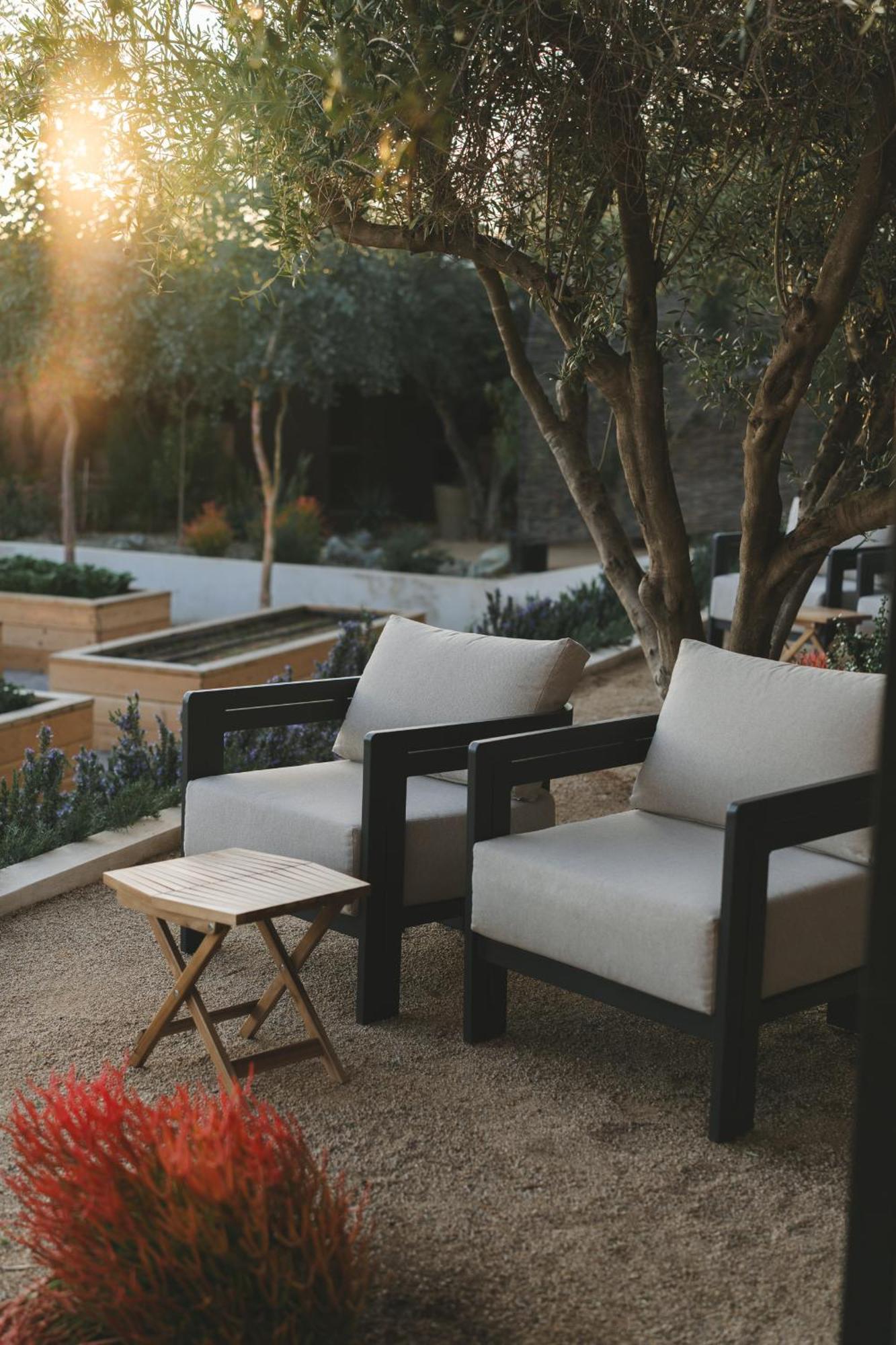 Mya Hotel Valle de Guadalupe Kültér fotó