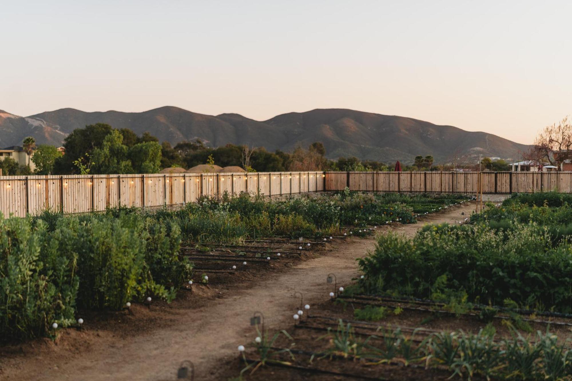 Mya Hotel Valle de Guadalupe Kültér fotó